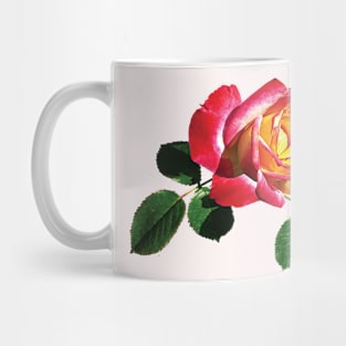 Red and Yellow Rose Mug